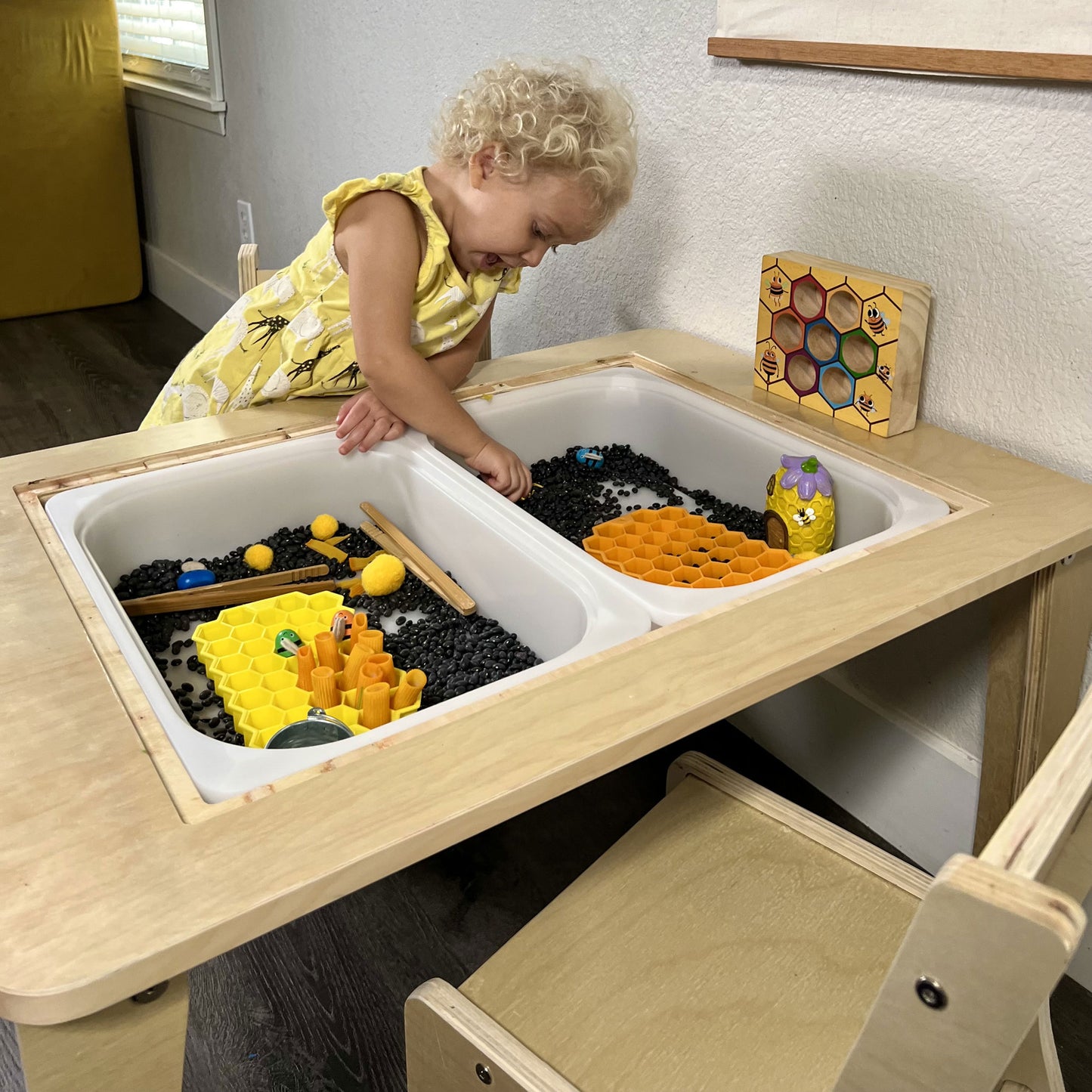 Sensory Table Single Lid