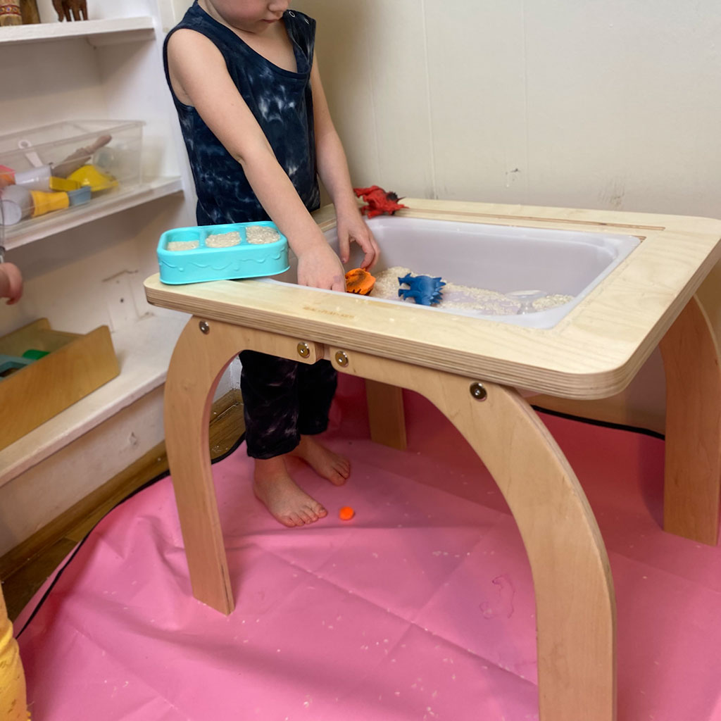 Sensory Table-Solo